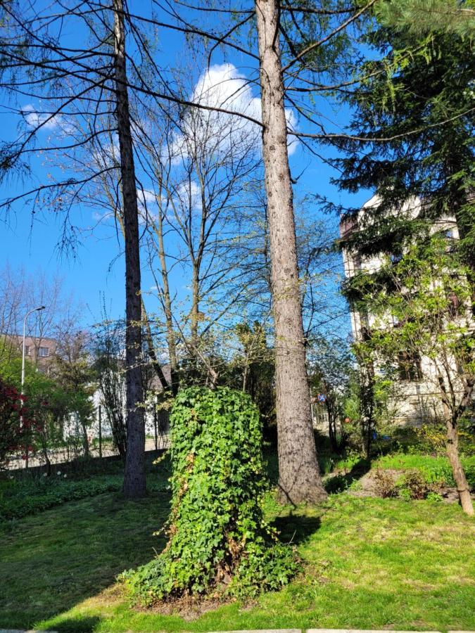 Cichy Apartament W Centrum Нови Сонч Екстериор снимка